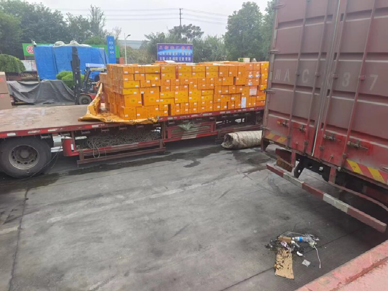 溫州到重慶渝中區(qū)物流公司